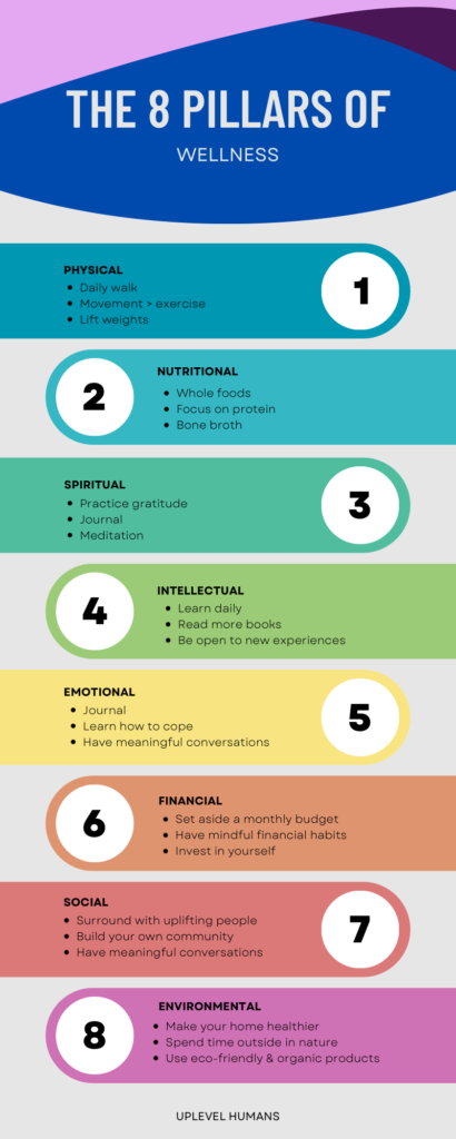 The 8 pillars of holistic wellness infograph.